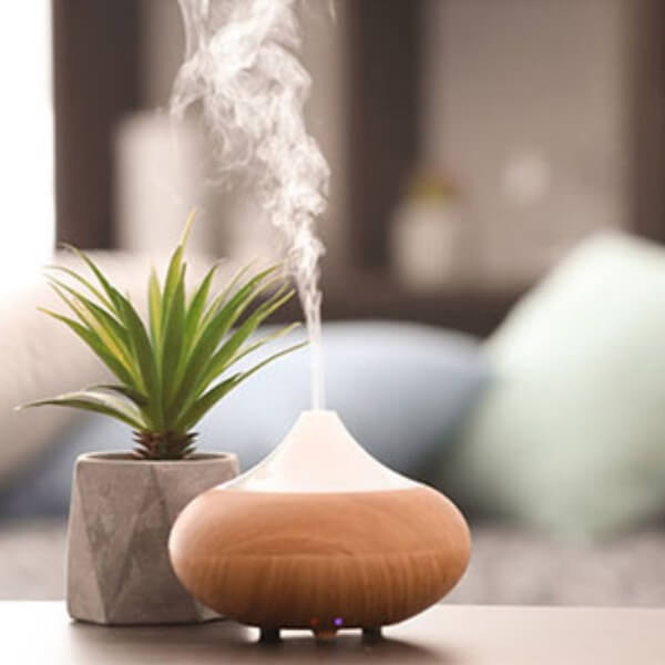 Khử mùi phòng ngủ bằng phương pháp tự nhiên 2_4