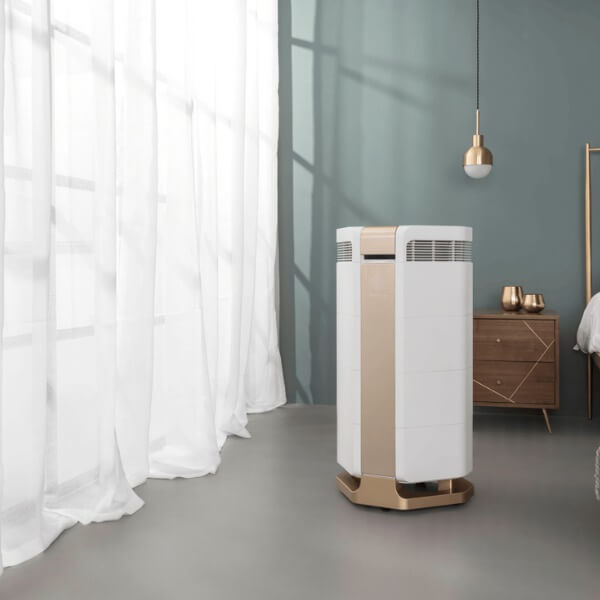 Cách khử mùi formaldehyde hiệu quả nhất_3
