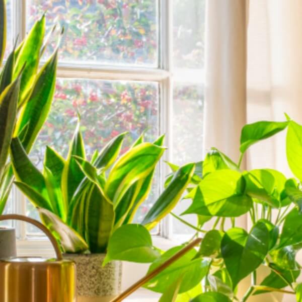 cách khắc phục phòng ngủ kín không có cửa sổ 5_6