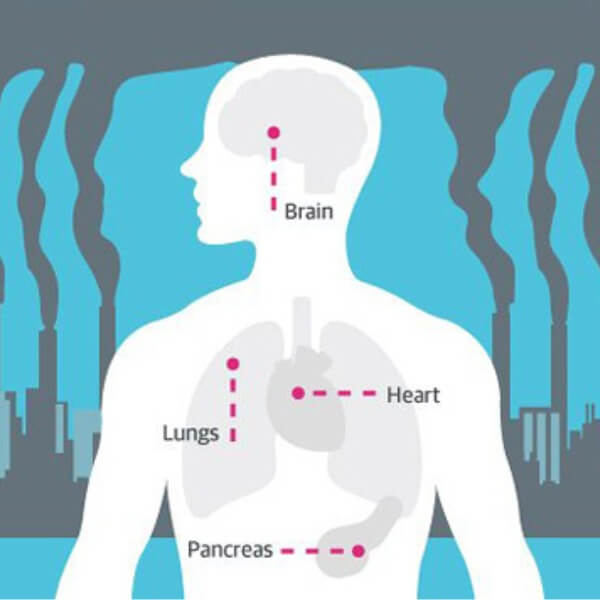 Formaldehyde ảnh hưởng sức khỏe như thế nào_3