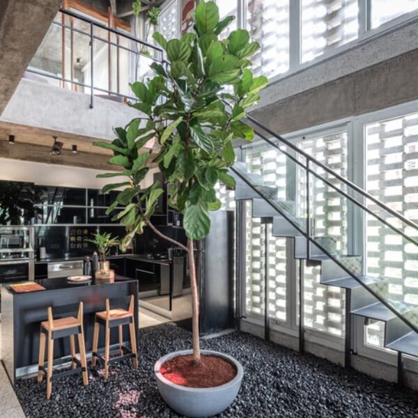 Cách khử hóa chất trong keo dán để bảo vệ sức khỏe 1_2