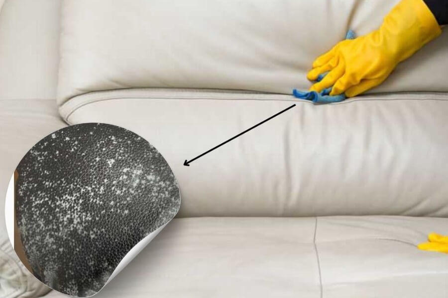 Top 5 cách khử mùi ghế sofa đơn giản, hiệu quả tai nhà_1