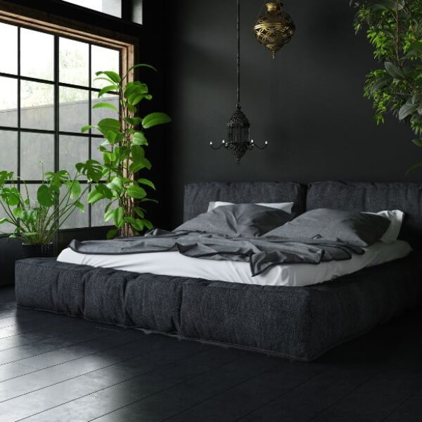 20+ cây lọc không khí trong phòng ngủ hiệu quả_2