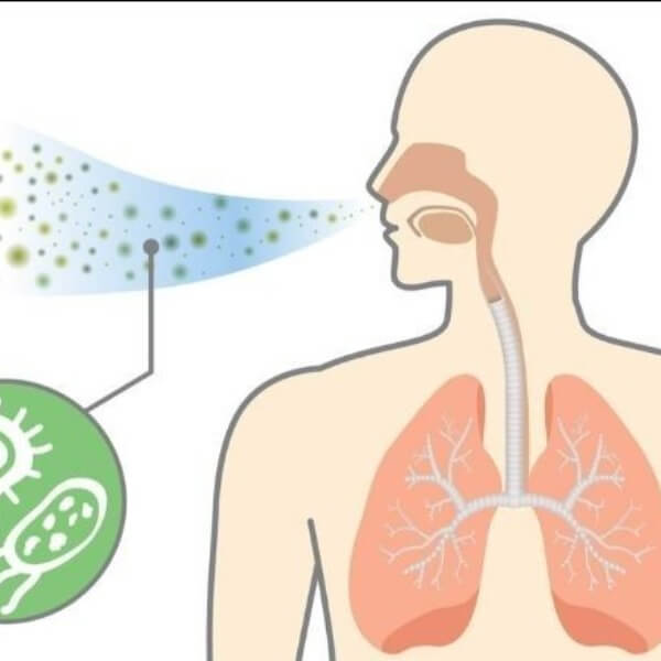 Con đường lây nhiễm virus RSV_3