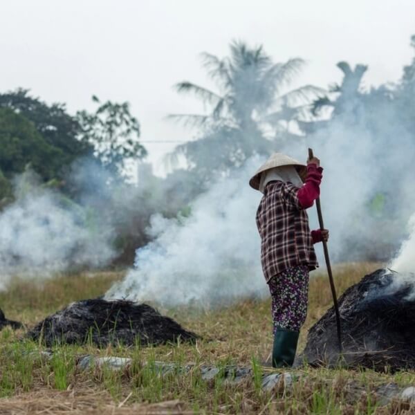 Khói đốt rơm rạ ảnh hưởng sức khỏe như thế nào_ 2_4