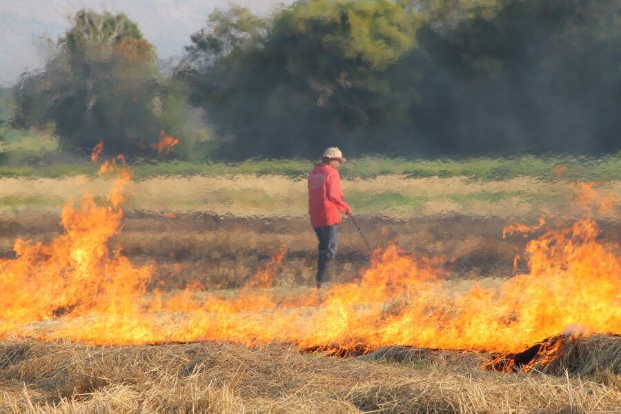Khói đốt rơm rạ và những ảnh hưởng xấu tới sức khỏe_1