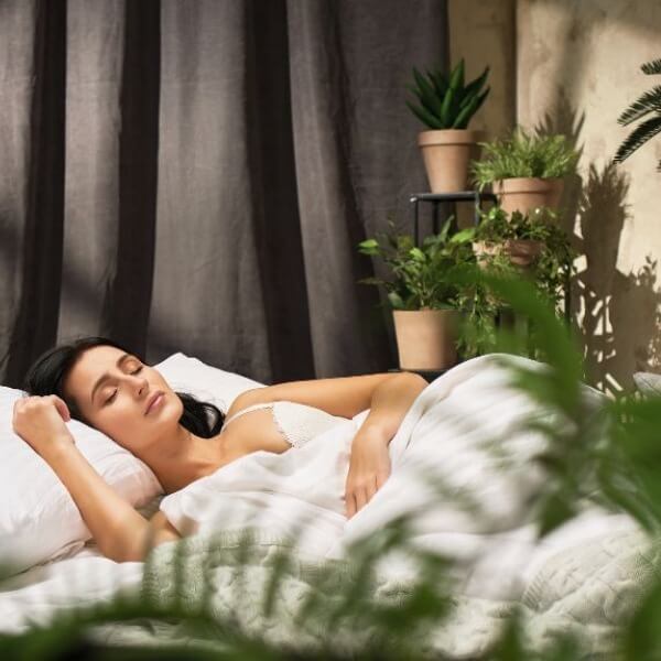 Nhược điểm của việc dùng cây lọc không khí trong phòng ngủ_5