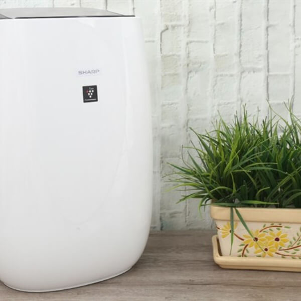 Sharp Máy lọc không khí mua hãng nào_ 3_6