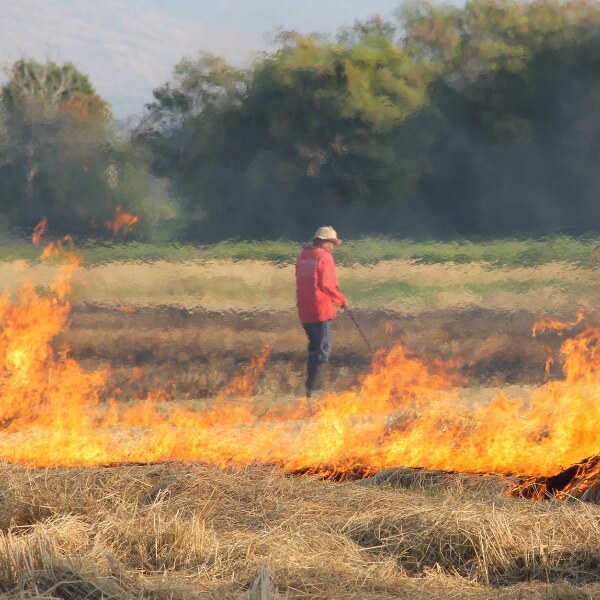 Vì 1 sao ô nhiễm mùa đông ở Việt Nam nặng hơn mùa hè_4