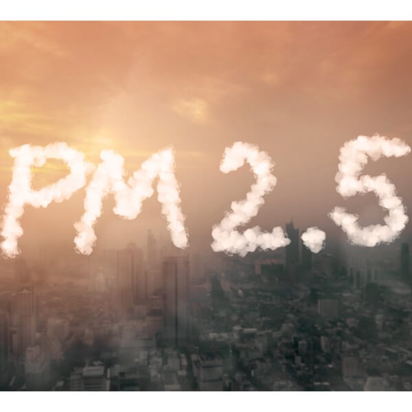 Bụi mịn PM2.5 là gì_3