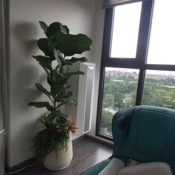 Các biện pháp cần làm để giảm chỉ số ô nhiễm không khí 2_3