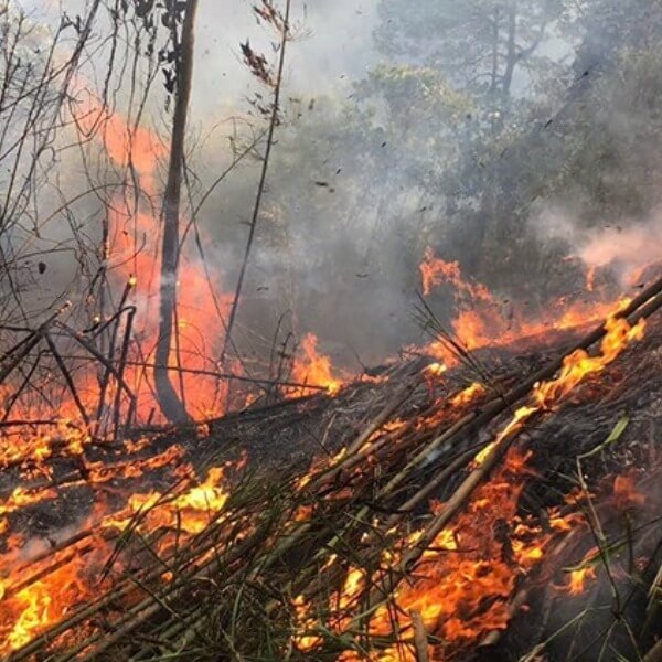 Các nguyên nhân gây ô nhiễm không khí từ thiên nhiên 1_4
