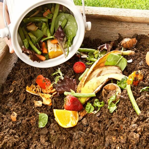 Các nguyên nhân gây ô nhiễm không khí từ thiên nhiên 2_5