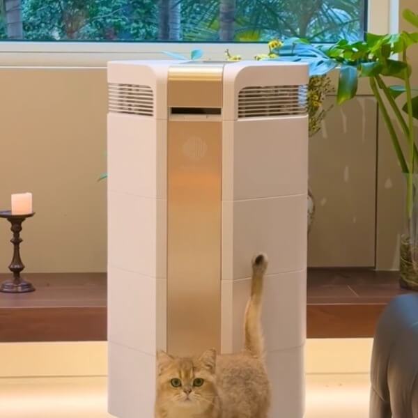 Giải pháp giảm thiểu ô nhiễm không khí từ cá nhân đến cộng đồng 2_4