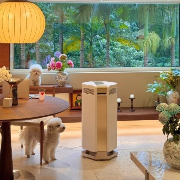 Giải pháp hạn chế hậu quả của ô nhiễm không khí _6