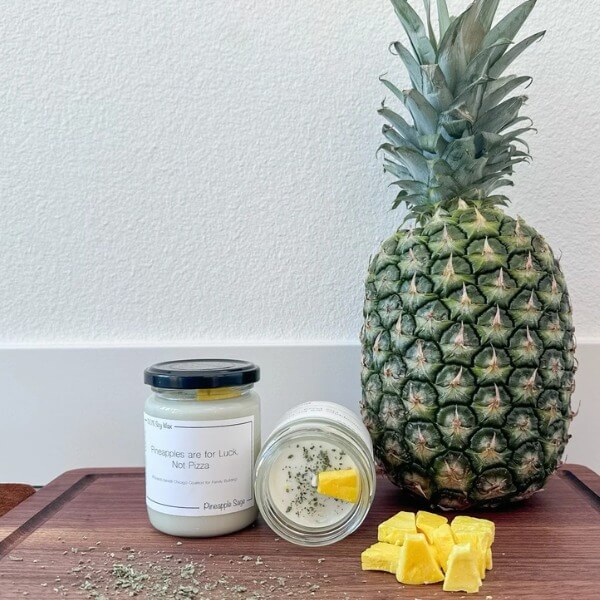 Khử mùi ẩm mốc trong phòng kín bằng quả dứa_5