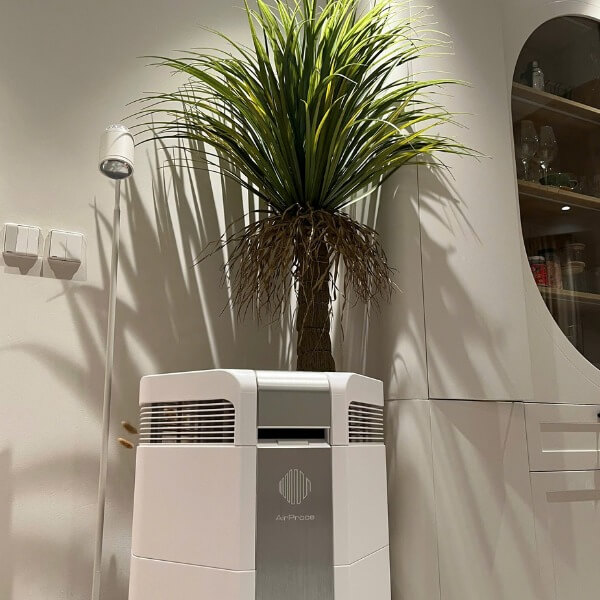 Những món quà tân gia cho bạn bè cao cấp_2