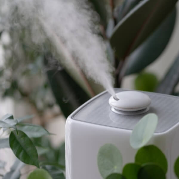 Ưu điểm của việc sử dụng máy lọc không khí để bàn_5