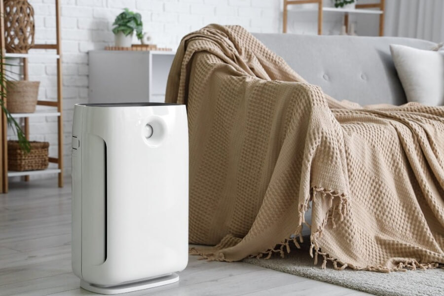 Có nên mua máy hút ẩm lọc không khí Giải đáp chi tiết_1