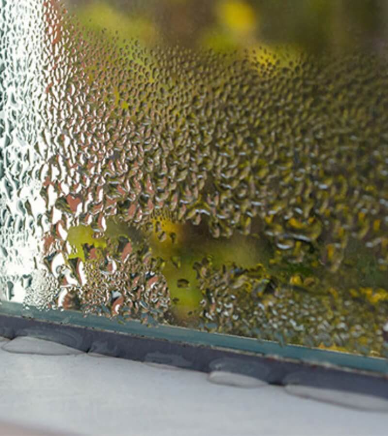 Độ ẩm không khí là gì_ Phân loại các loại độ ẩm có trong không khí_6