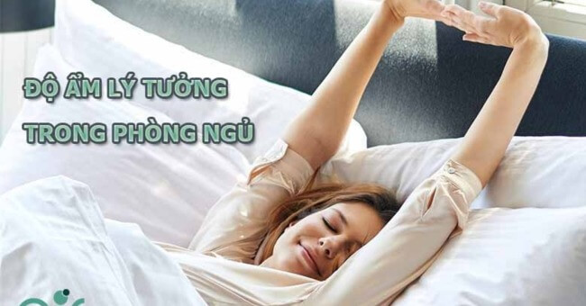 Độ ẩm lý tưởng trong phòng bao nhiêu là tốt nhất và an toàn cho sức khỏe_1