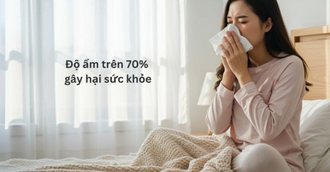 Mách bạn 7+ cách giảm độ ẩm trong phòng đơn giản, hiệu quả_1