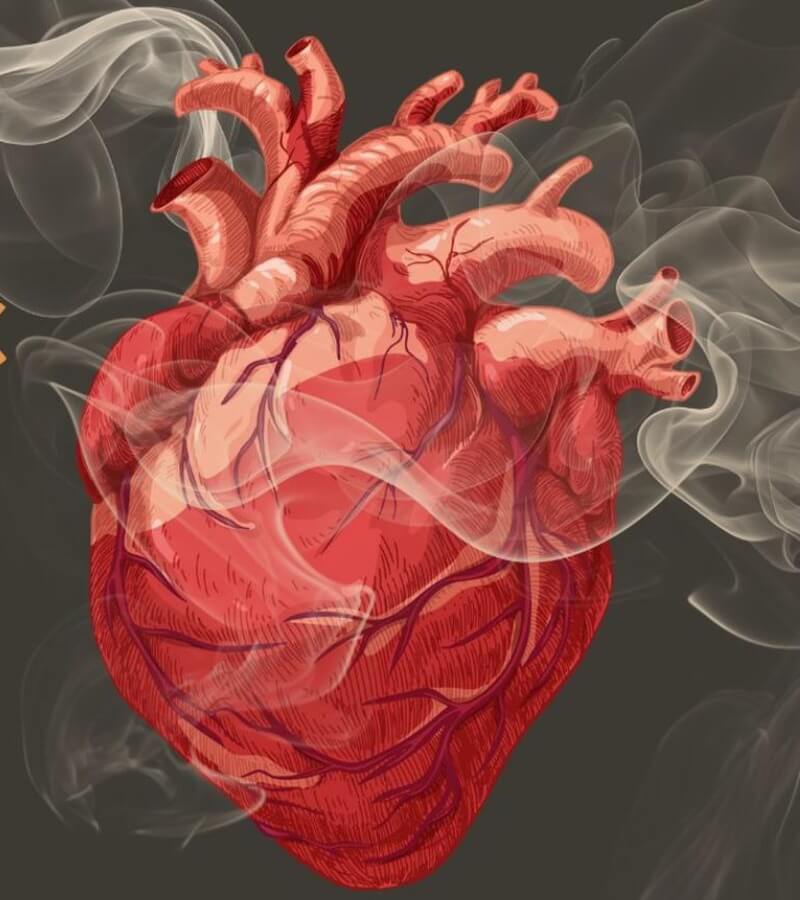 5 tác hại thuốc lá điện tử tới sức khỏe_3