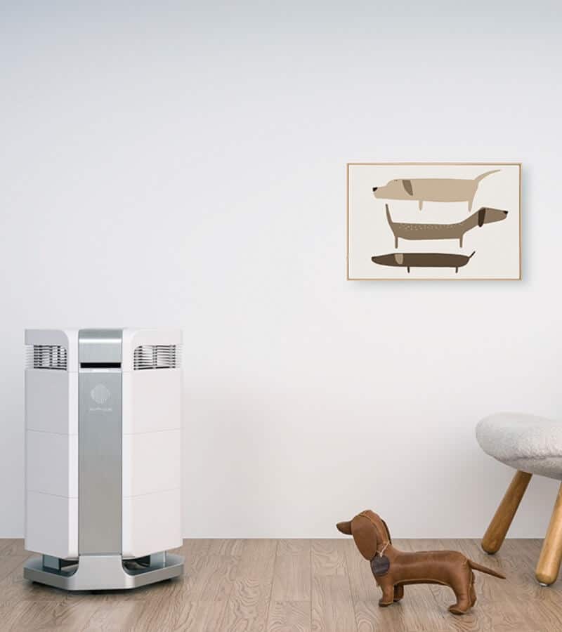 Máy lọc không khí 20m2 AirProce AI-300 _2