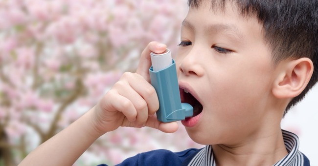 Máy lọc không khí cho người hen suyễn Đâu là giải pháp hiệu quả_1