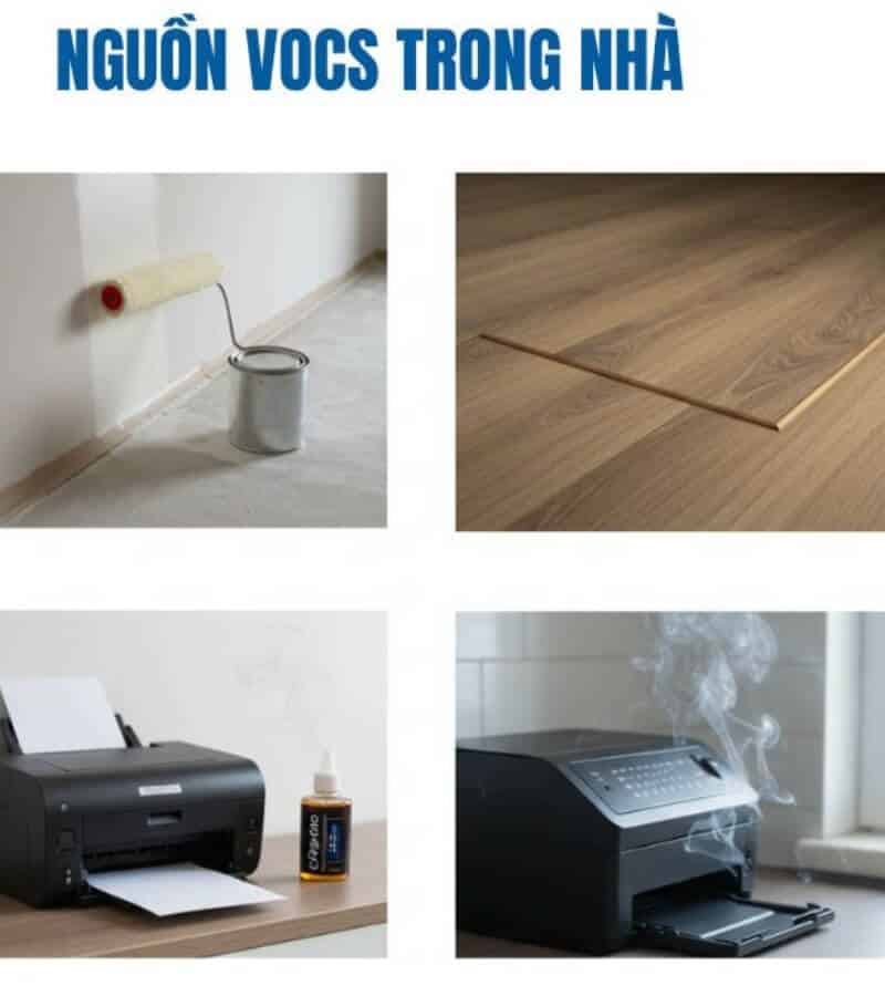 Nguồn gốc của VOC là gì_3