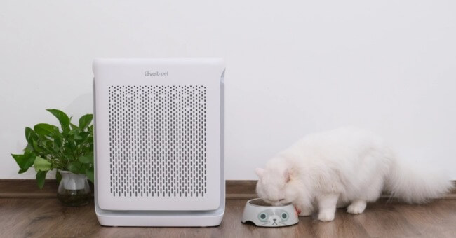 Review top 4 máy lọc không khí thú cưng đáng mua nhất 2026_1