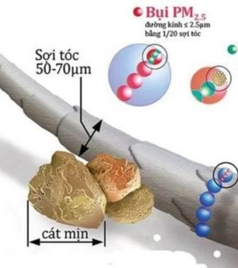 Thành phần nguy hiểm trong không khí ô nhiễm_5