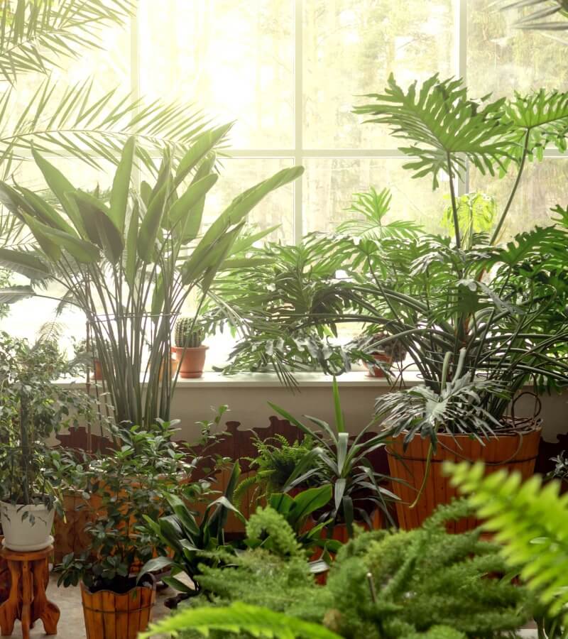 5+ cách tạo ẩm cho phòng điều hoà an toàn và dễ dàng (2)_2