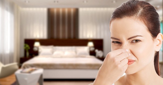 Cách khử mùi phòng máy lạnh bị hôi cực đơn giản_1