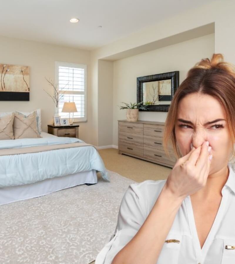 Nguyên nhân phòng máy lạnh bị hôi_4