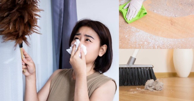 Dị ứng bụi Cách chữa trị và biện pháp phòng ngừa hiệu quả_1