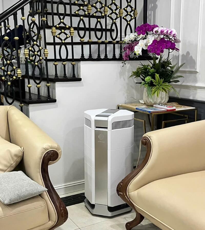 Mua máy lọc không khí AirProce ở đâu uy tín_5