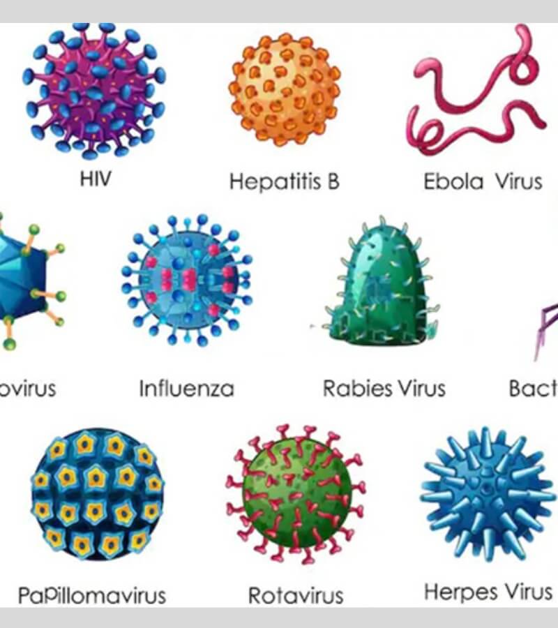 Những loại virus thường gặp trong không khí_4