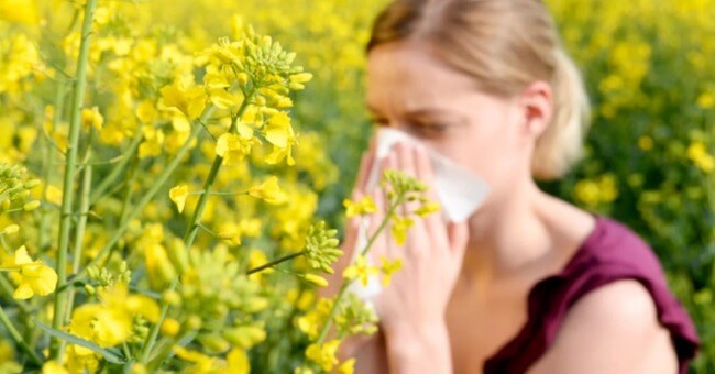 Dị ứng phấn hoa mùa hè Cách phòng tránh hiệu qu_1
