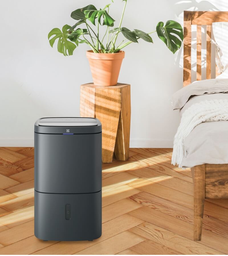 Máy lọc không khí AirProce S9 và Electrolux phù hợp với nhu cầu nào_4