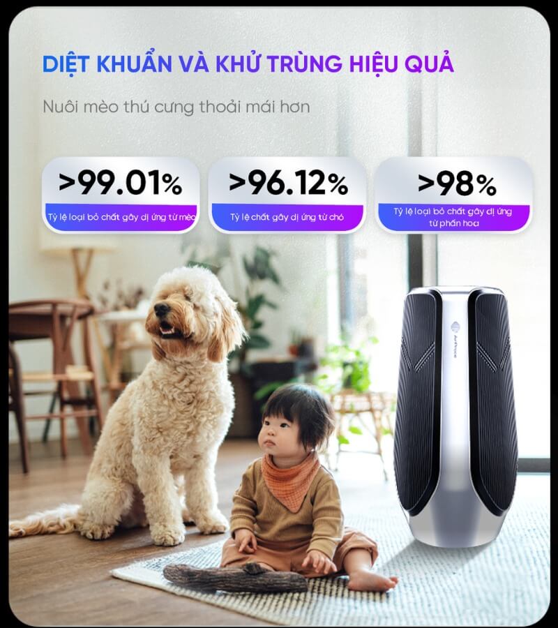 Máy lọc không khí S9 phù hợp với những không gian nào_5
