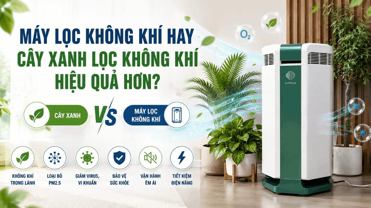 cay-xanh-co-thay-the-may-loc-khong-khi_1_11zon