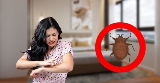 5+ giải pháp xử lý dị ứng mạt bụi nhà hiệu quả_1