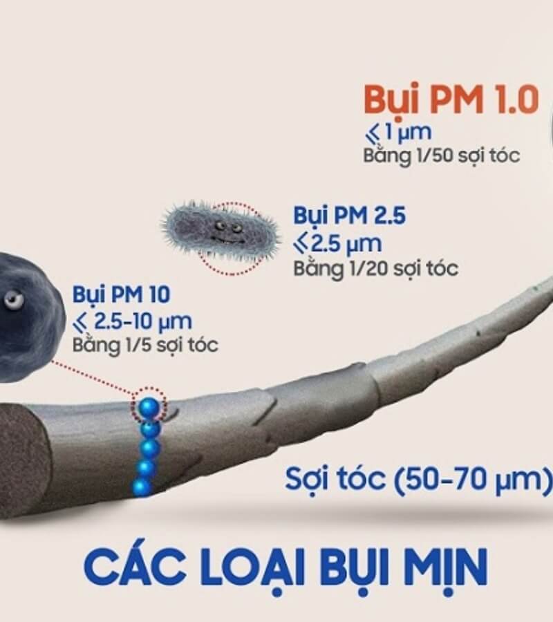 Bụi mịn là gì_ Đặc điểm của 3 dạng bụi mịn_2