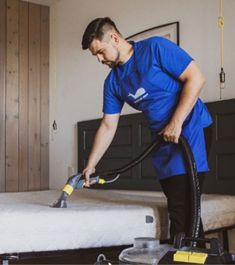 Cách hạn chế dị ứng bụi nổi mụn và bảo vệ da trong sinh hoạt_2