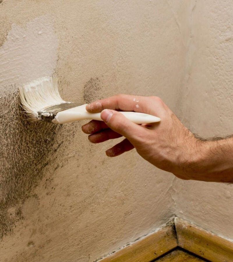 Cách phòng ngừa hen suyễn do nấm mốc ở trẻ_2