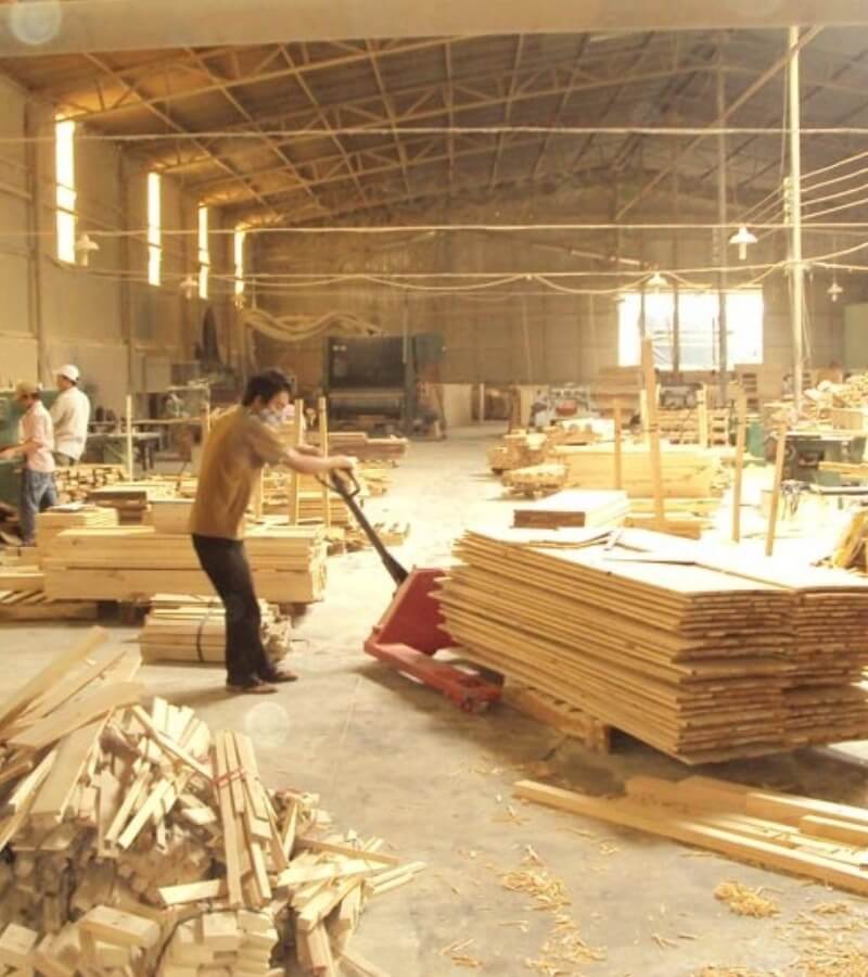 Nguyên nhân gây dị ứng bụi gỗ_3
