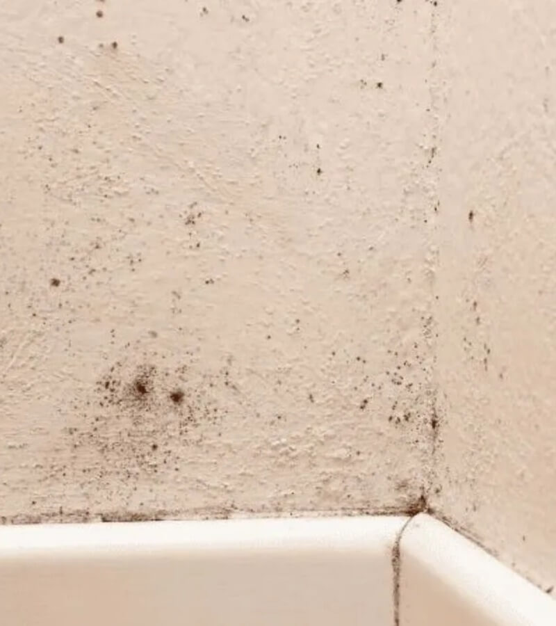 Vì sao trẻ dễ bị ảnh hưởng khi sống trong môi trường ẩm mốc_4