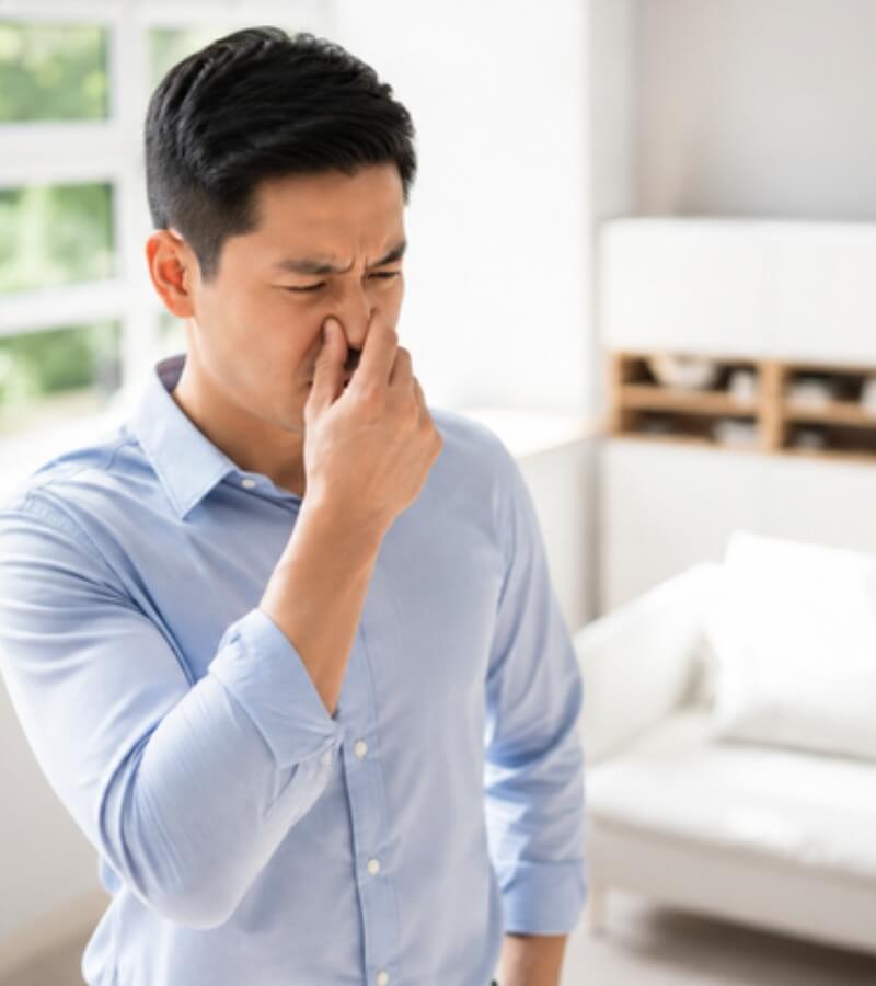 Nguyên nhân nhà kín có mùi hôi ẩm mốc_2